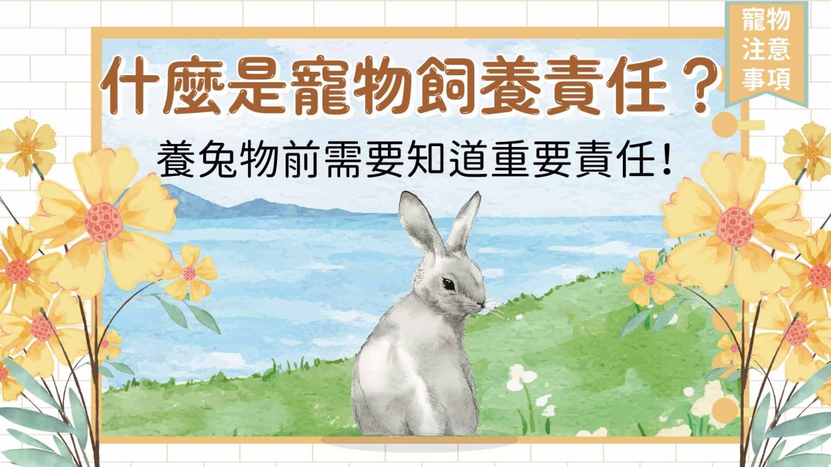 什麼是寵物飼養責任？養兔物前需要知道重要責任！