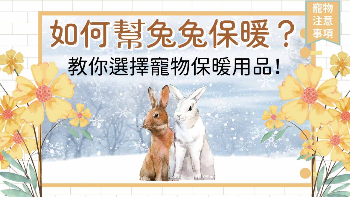 如何幫兔兔保暖？教你選擇寵物保暖用品！
