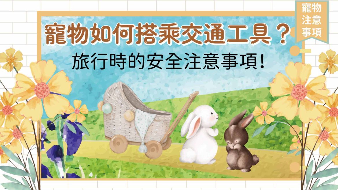 寵物如何搭乘交通工具？旅行時的安全注意事項！