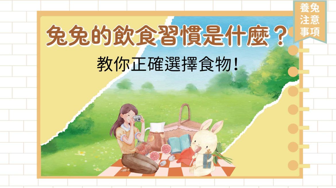 兔兔的飲食習慣是什麼？教你正確選擇食物！