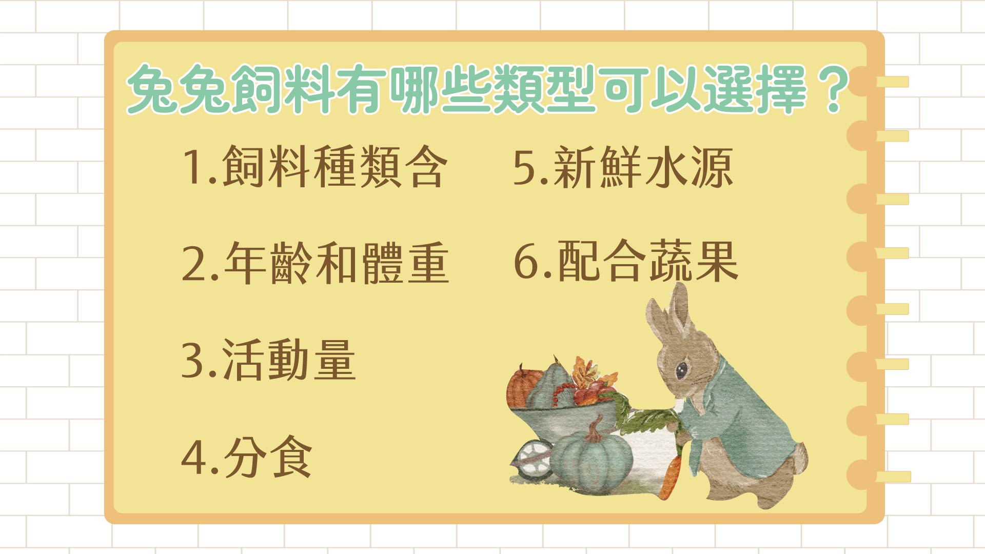 兔兔飼料有哪些類型可以選擇？