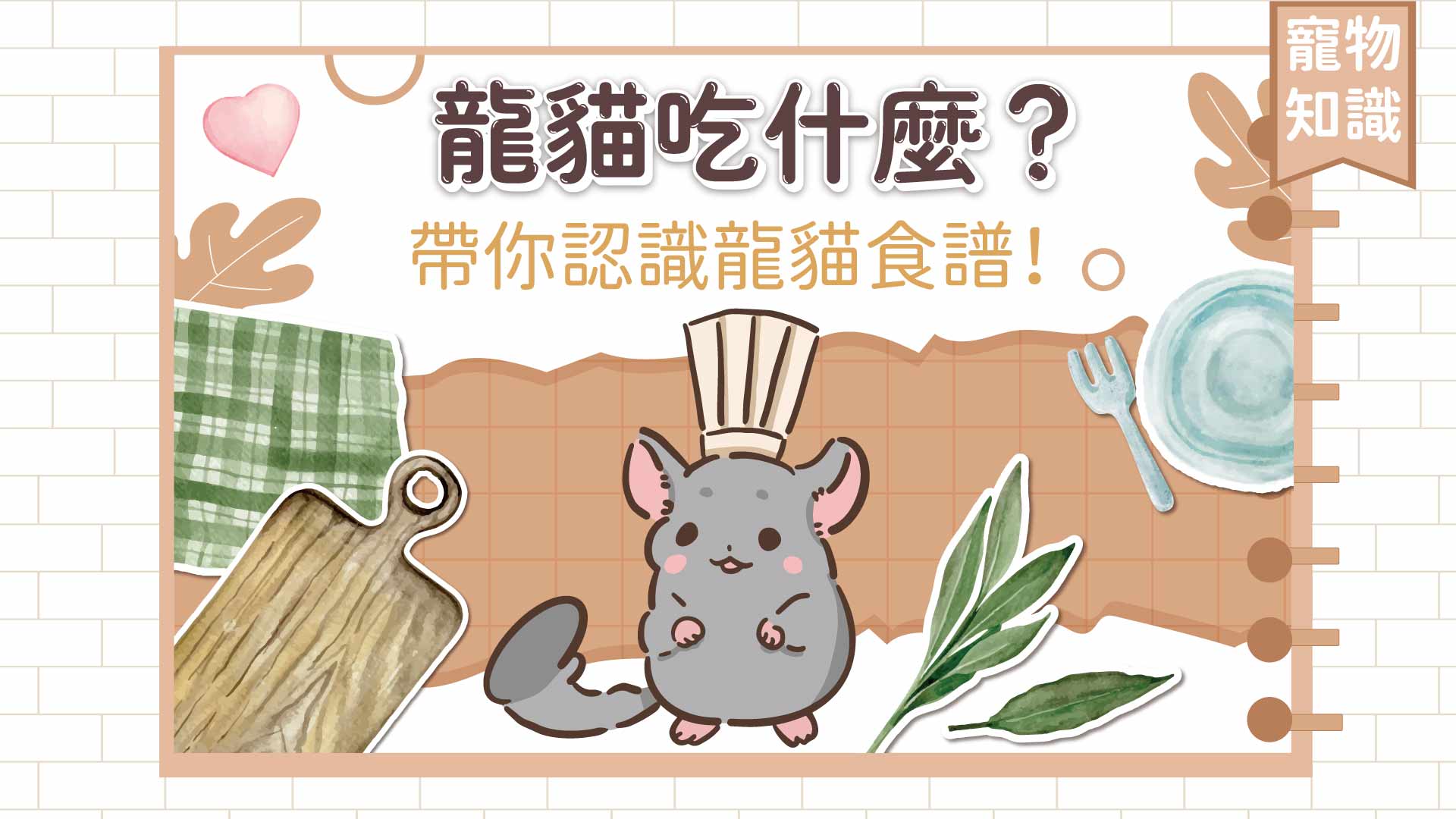 寵物知識】龍貓吃什麼？帶你認識龍貓食譜！ – 草食紀｜兔子龍貓天竺鼠生活、飲食、教養、保健、疾病百科全書